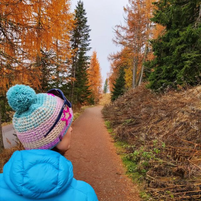 Happy monday ...
.
.
.
#mondaymotivation #mützenzeitbeginnt #goldenerherbst #handmadeaccessory #handmadeingermany #handmade #croshet #bommelmütze #wollmütze